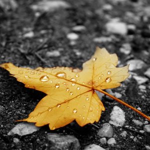 男男调教捆绑鞭打束缚塑身衣
