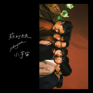 男男调教捆绑鞭打束缚塑身衣
