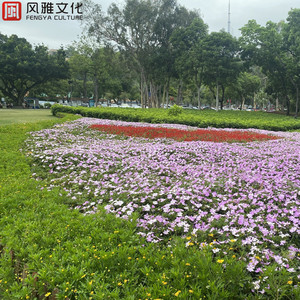 男男调教捆绑鞭打束缚塑身衣
